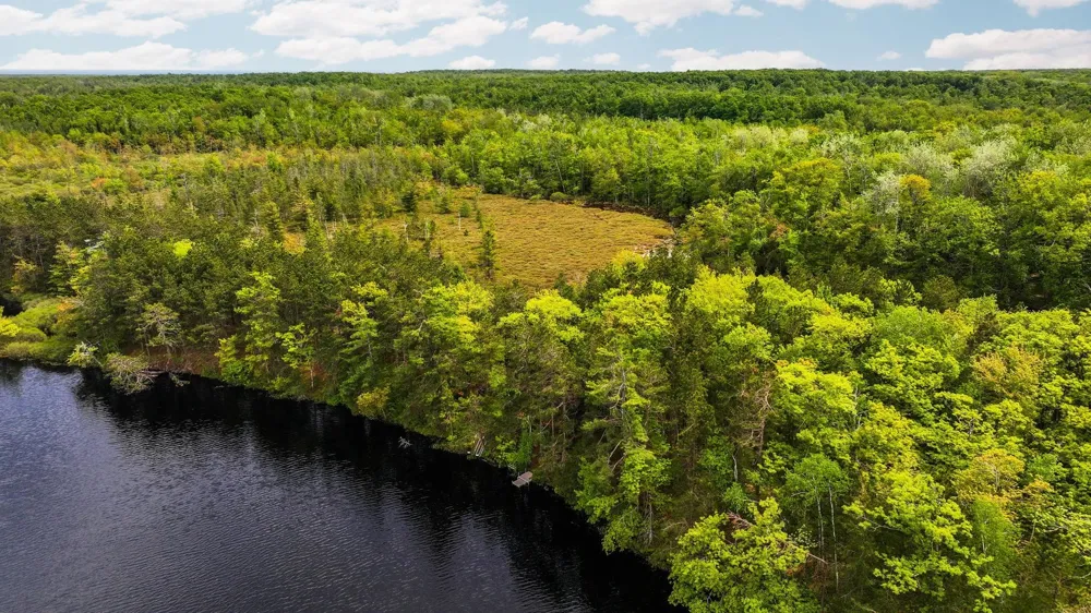 28525 Fox Pointe Trail Peaine Township, MI 49782
