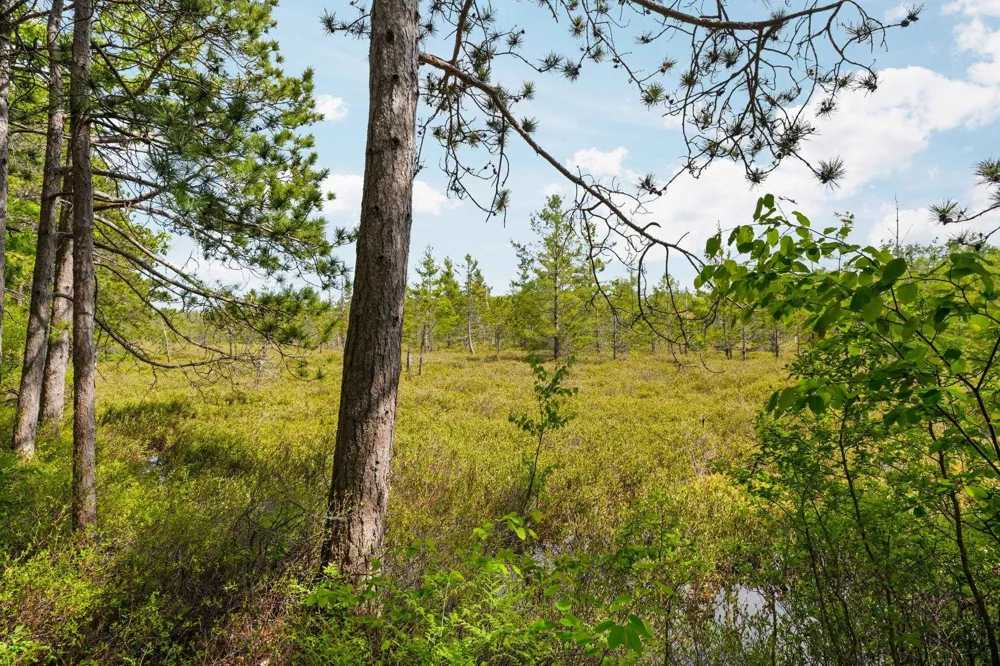 28525 Fox Pointe Trail Peaine Township, MI 49782