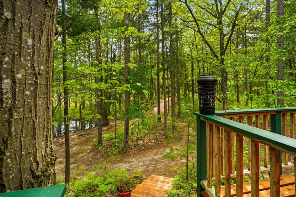 28525 Fox Pointe Trail Peaine Township, MI 49782