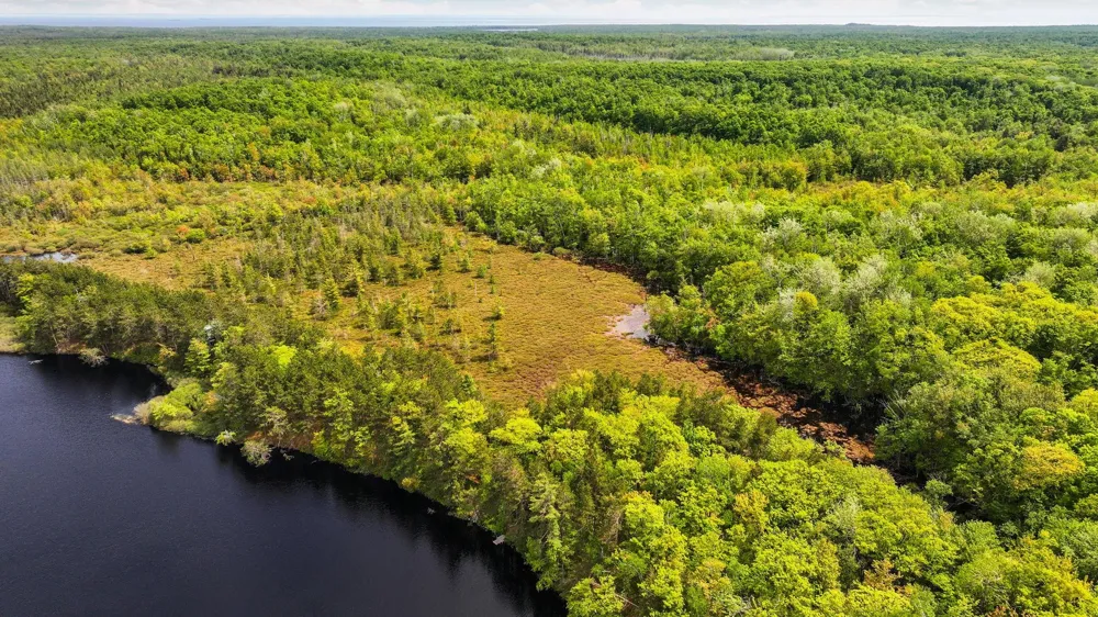 28525 Fox Pointe Trail Peaine Township, MI 49782