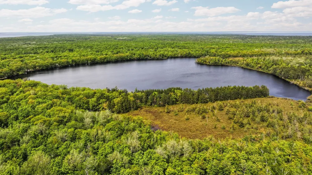 28525 Fox Pointe Trail Peaine Township, MI 49782