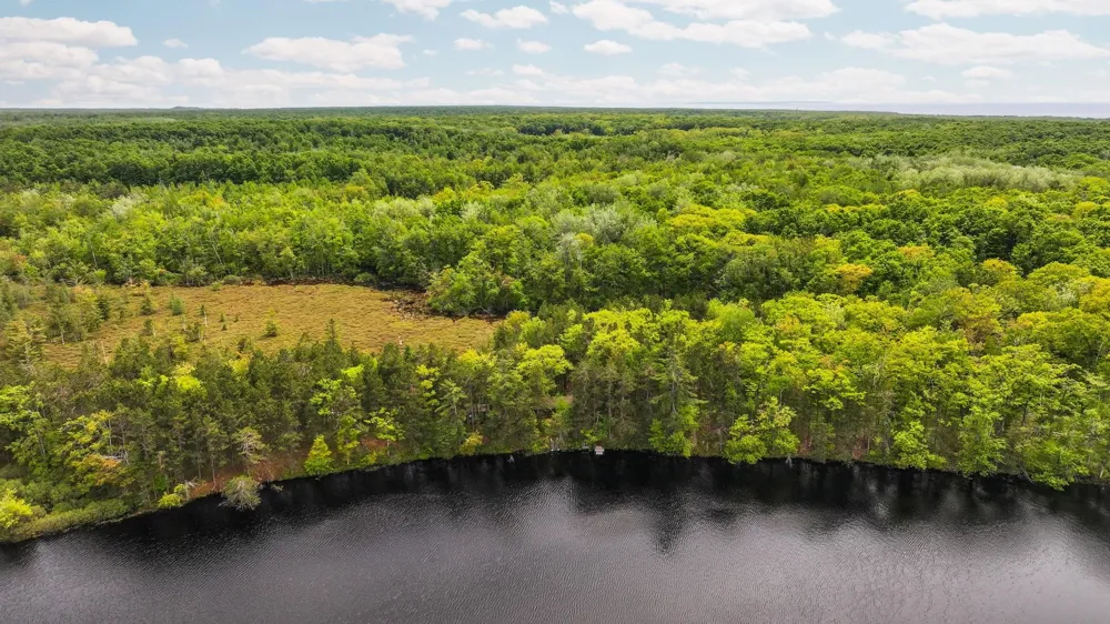 28525 Fox Pointe Trail Peaine Township, MI 49782