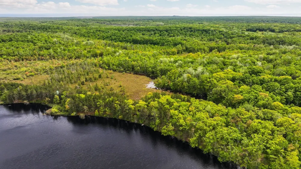 28525 Fox Pointe Trail Peaine Township, MI 49782