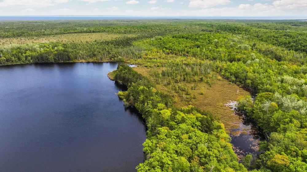 28525 Fox Pointe Trail Peaine Township, MI 49782