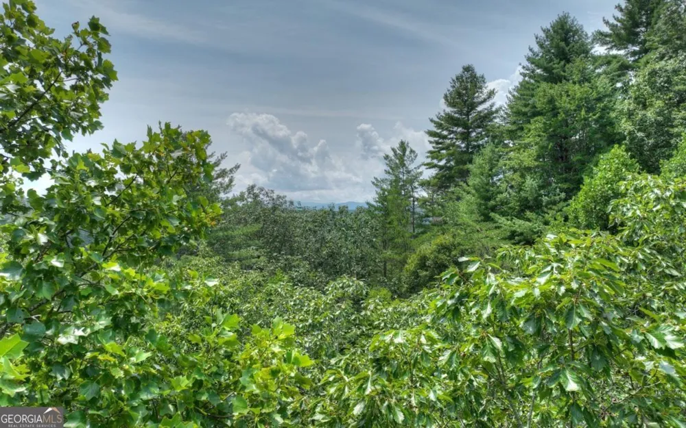 LT 22 Rolling Hills DR Morganton, GA 30560