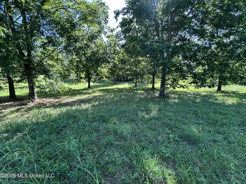 0000 Willis Cotton Road Summit, MS 39666