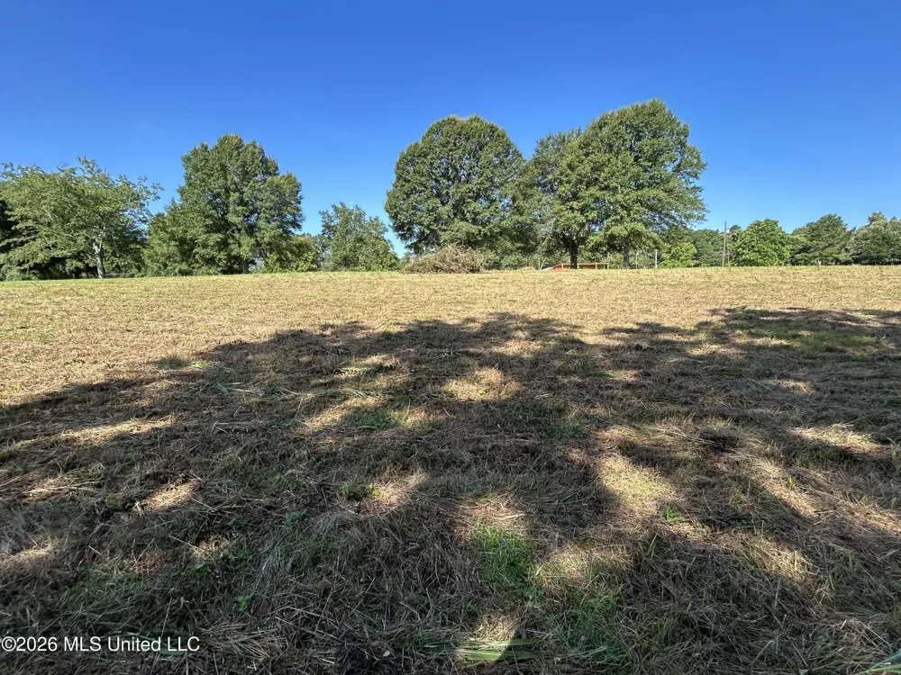 0000 Willis Cotton Road Summit, MS 39666