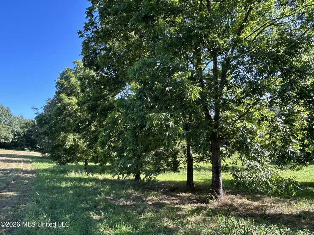 0000 Willis Cotton Road Summit, MS 39666