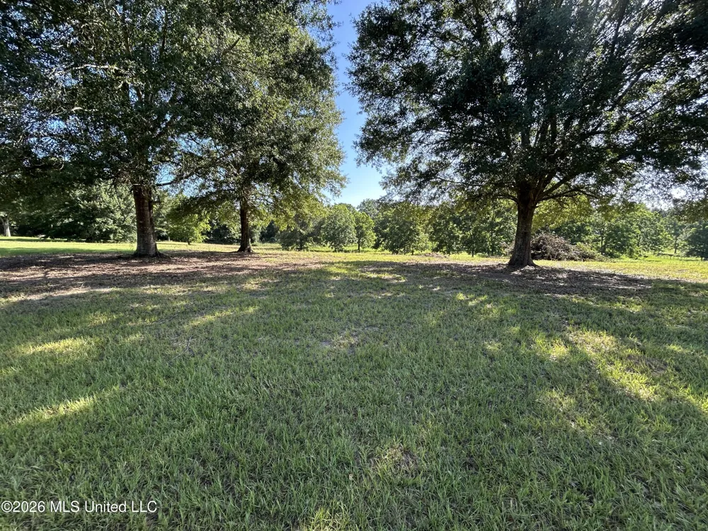 0000 Willis Cotton Road Summit, MS 39666