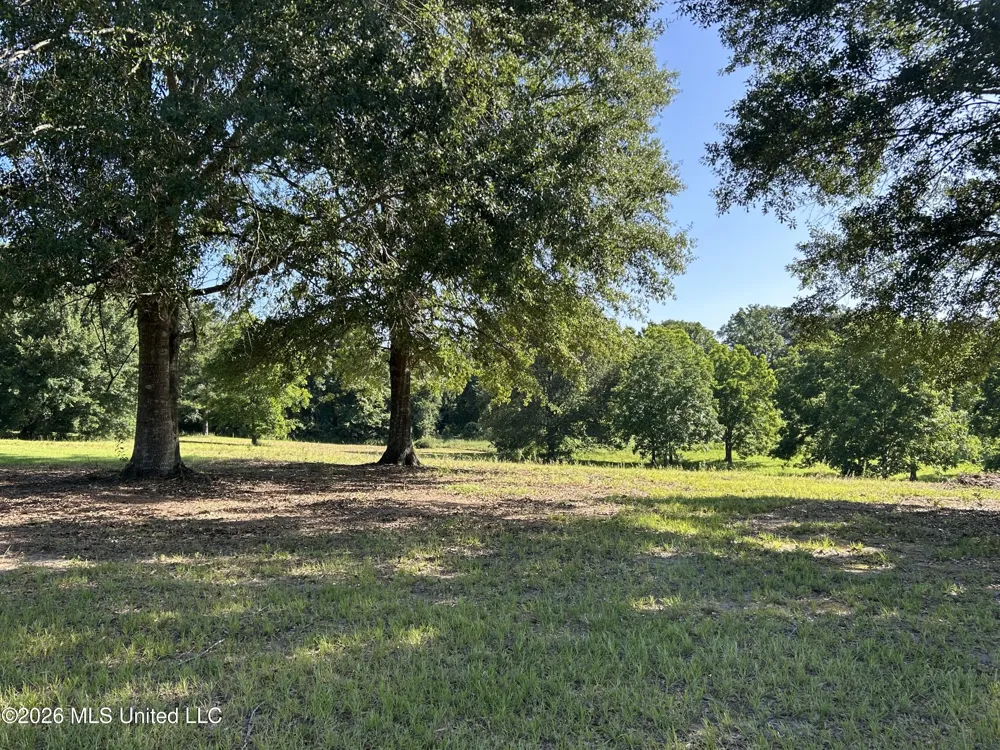 0000 Willis Cotton Road Summit, MS 39666