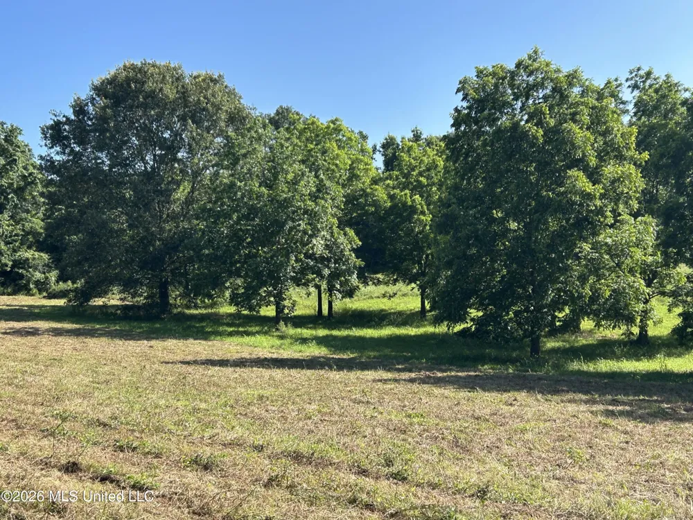 0000 Willis Cotton Road Summit, MS 39666