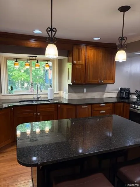 4790 Meridian Road Williamstown Township, MI 48895