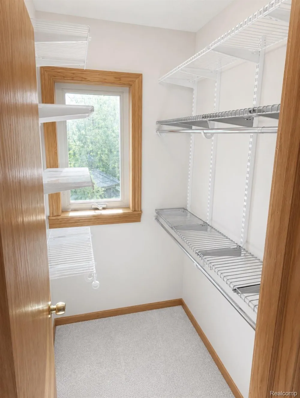 4790 Meridian Road Williamstown Township, MI 48895