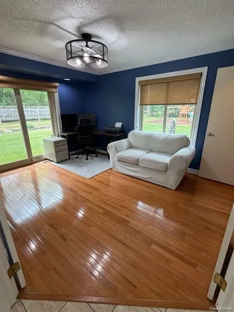 4790 Meridian Road Williamstown Township, MI 48895