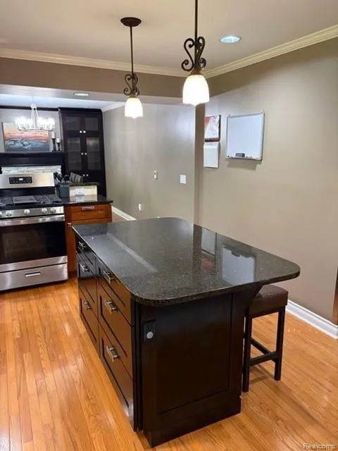 4790 Meridian Road Williamstown Township, MI 48895