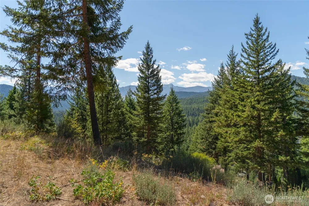 25601 Camp 12 Rd Leavenworth, WA 98826