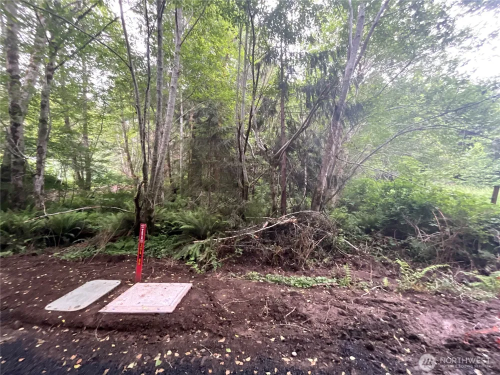 200 W Thunderbird Drive Elma, WA 98541