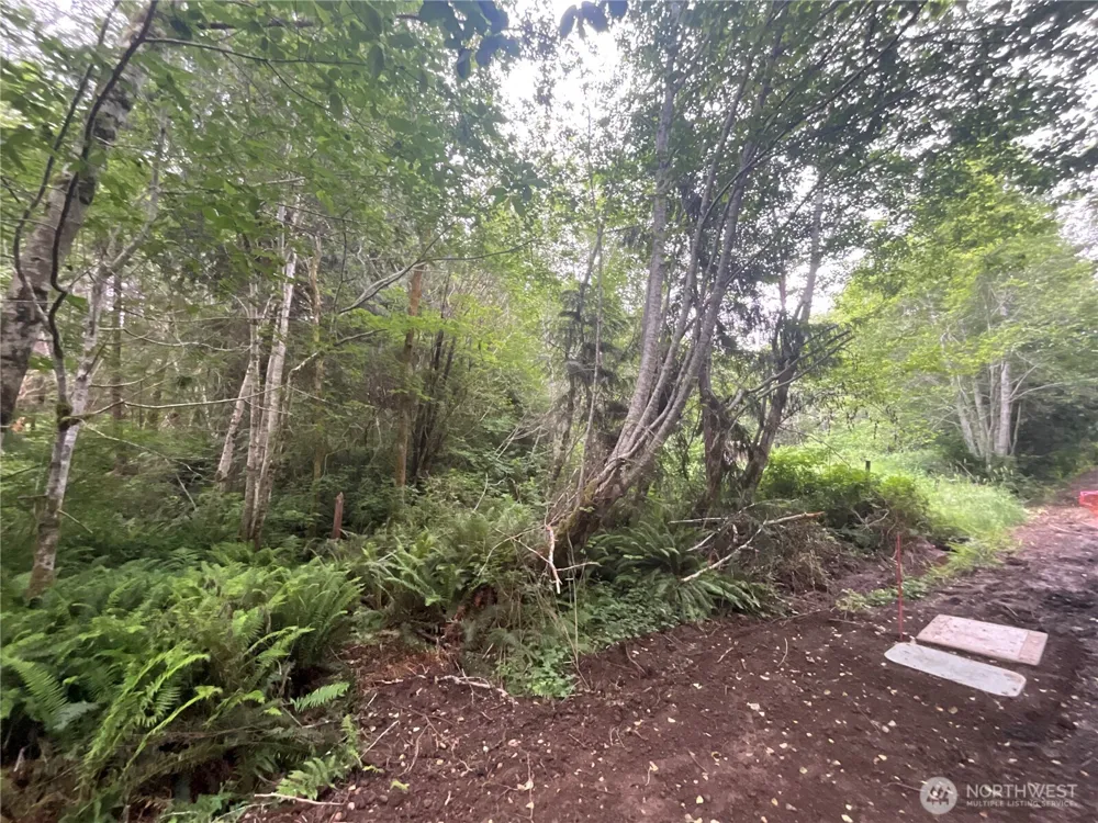 200 W Thunderbird Drive Elma, WA 98541