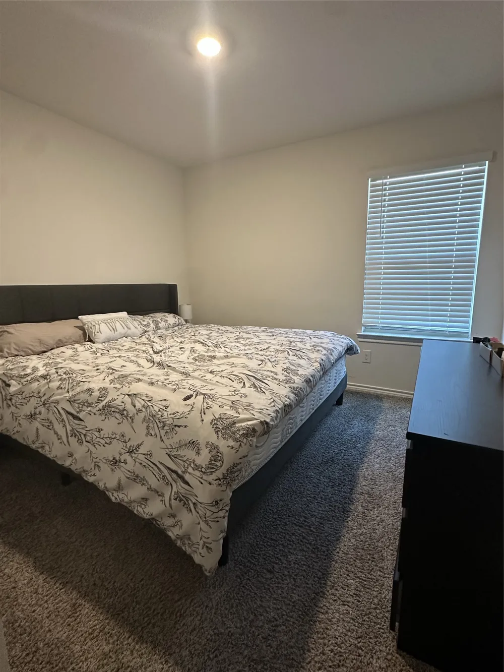 125 Smarty Jones Street Caddo Mills, TX 75135