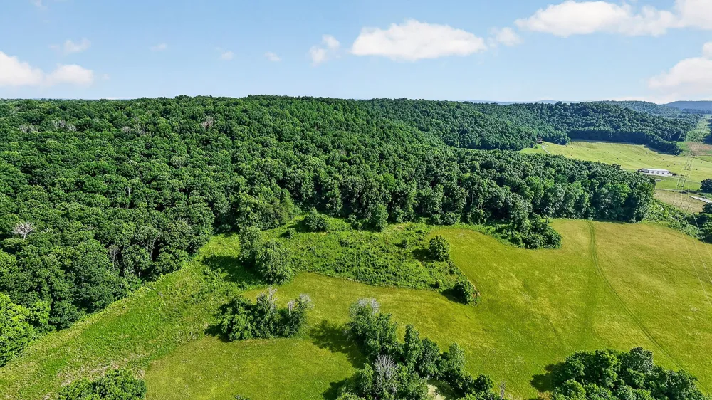 0 Moore Cove Rd Quebeck, TN 38579