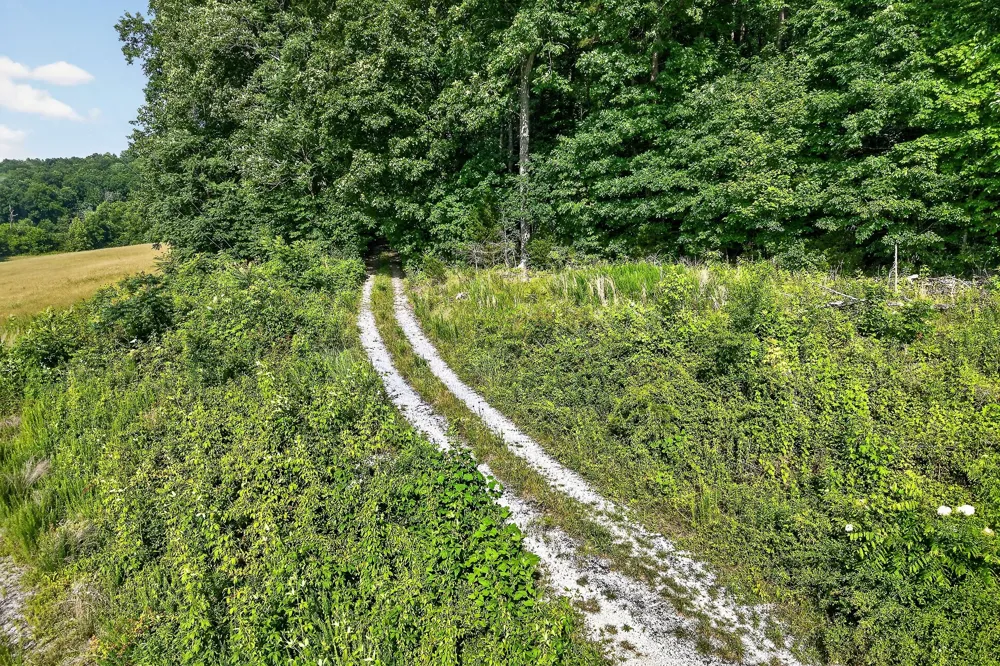 0 Moore Cove Rd Quebeck, TN 38579