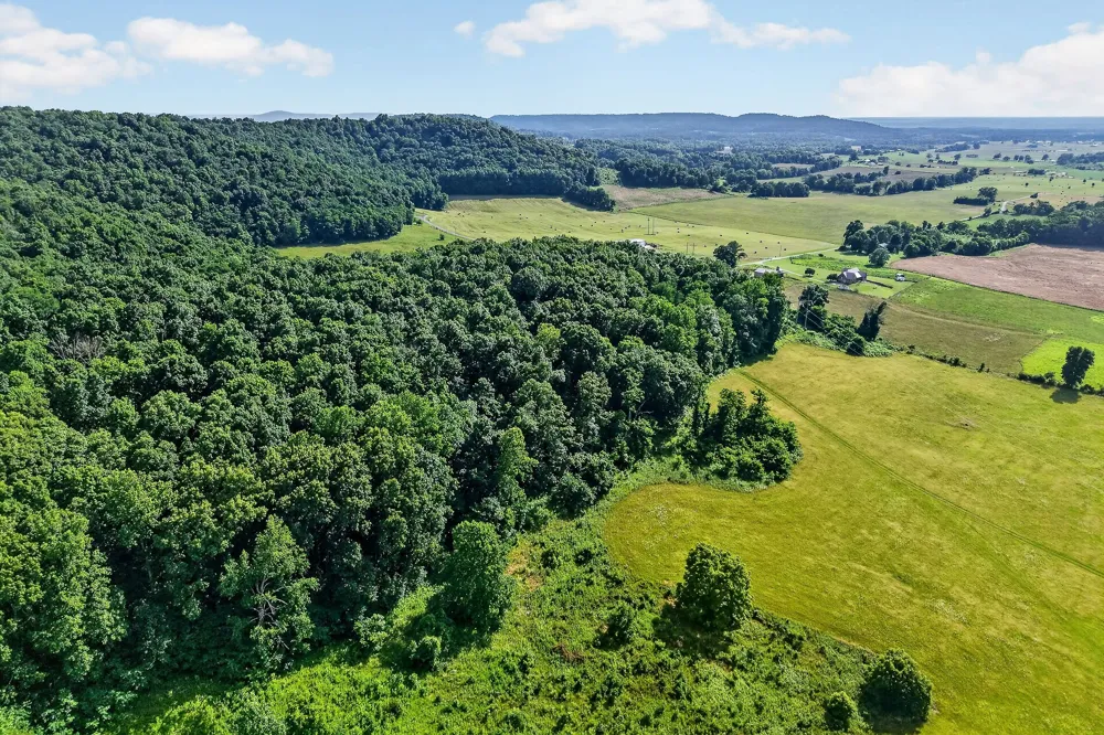 0 Moore Cove Rd Quebeck, TN 38579