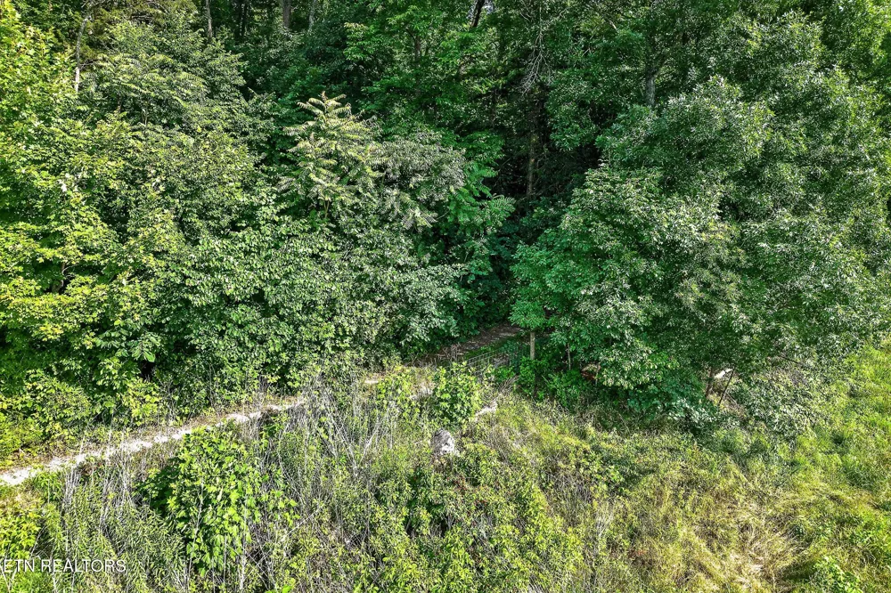 0 Moore Cove Rd Quebeck, TN 38579