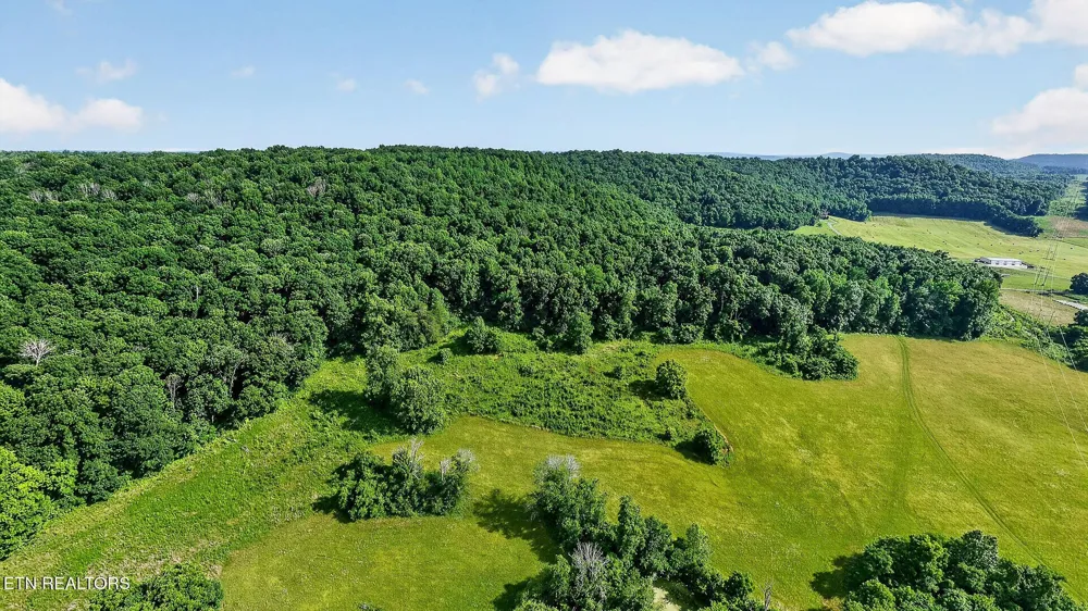 0 Moore Cove Rd Quebeck, TN 38579