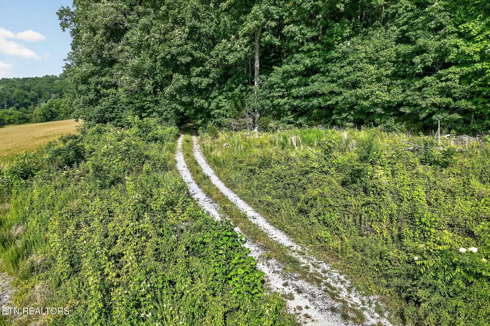 0 Moore Cove Rd Quebeck, TN 38579