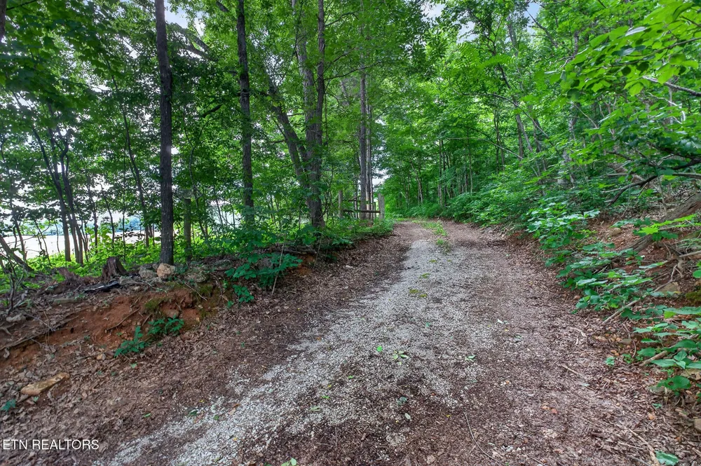 0 Moore Cove Rd Quebeck, TN 38579
