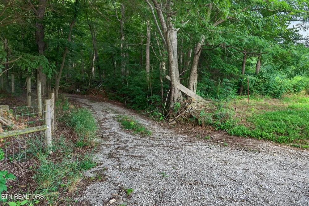 0 Moore Cove Rd Quebeck, TN 38579