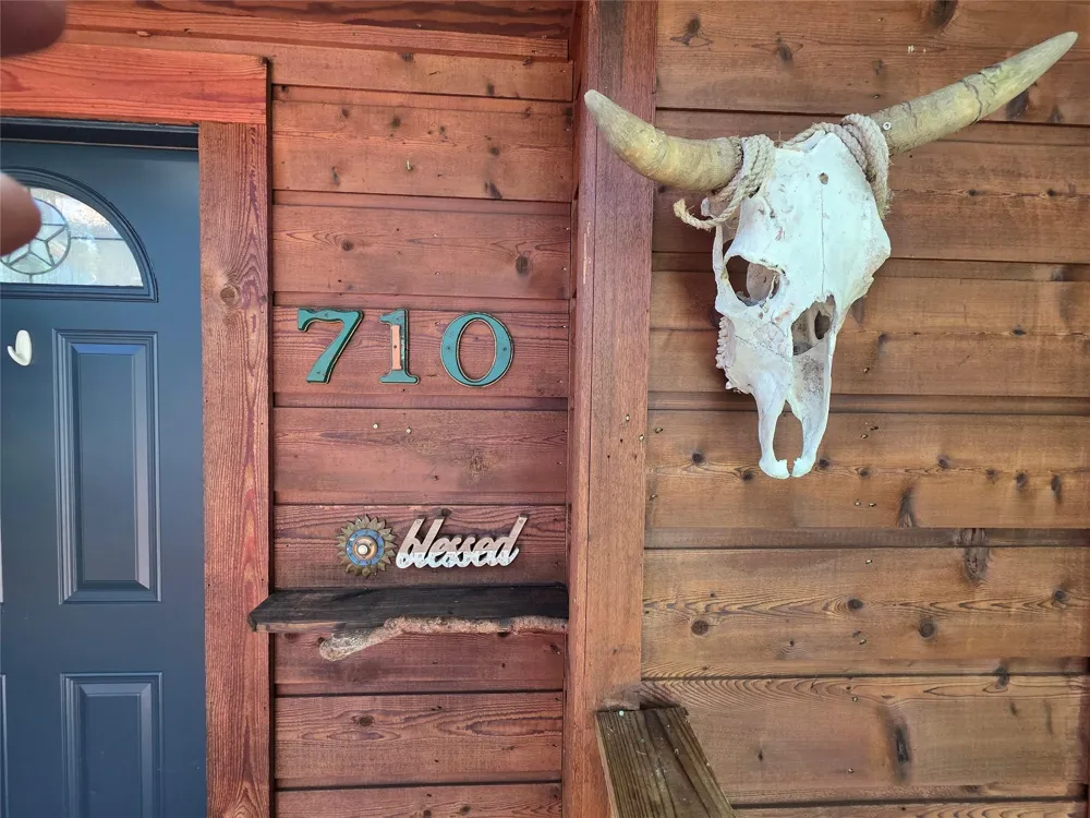 710 E Pony Lane Simonton, TX 77485