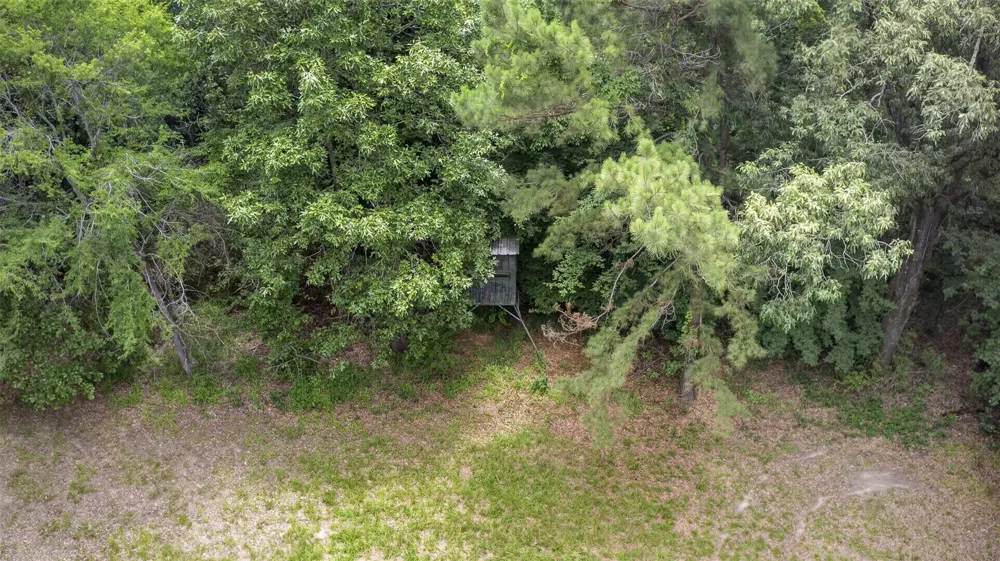 639 County Road 2280 Grapeland, TX 75844