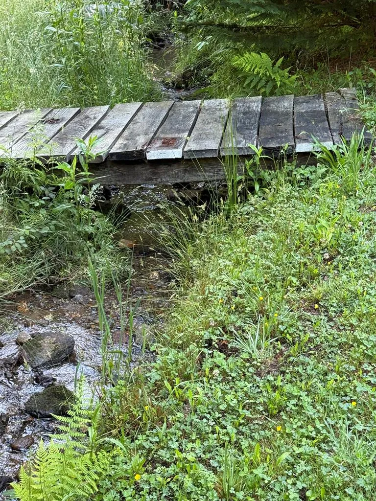 Notta Road Cullowhee, NC 28723