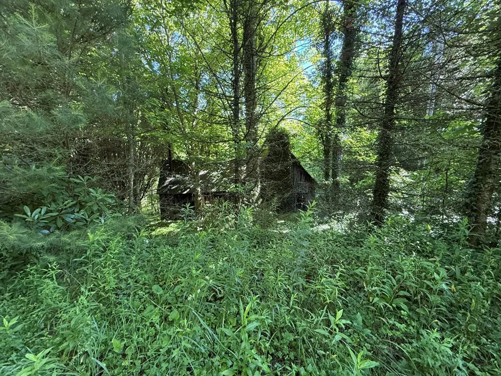 Notta Road Cullowhee, NC 28723