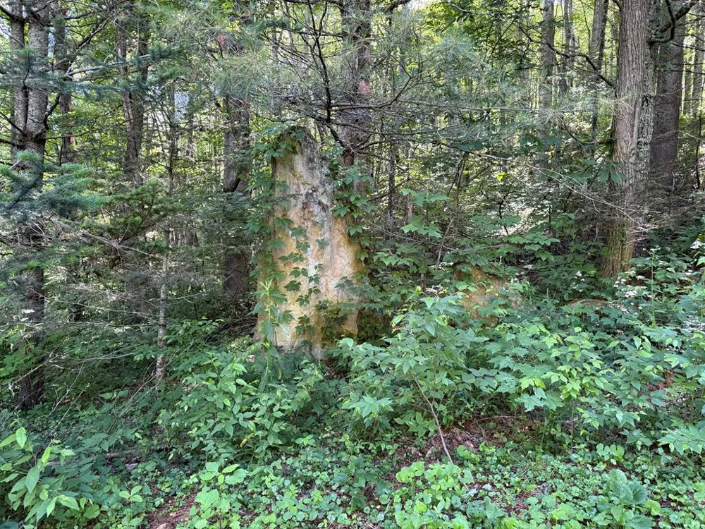 Notta Road Cullowhee, NC 28723