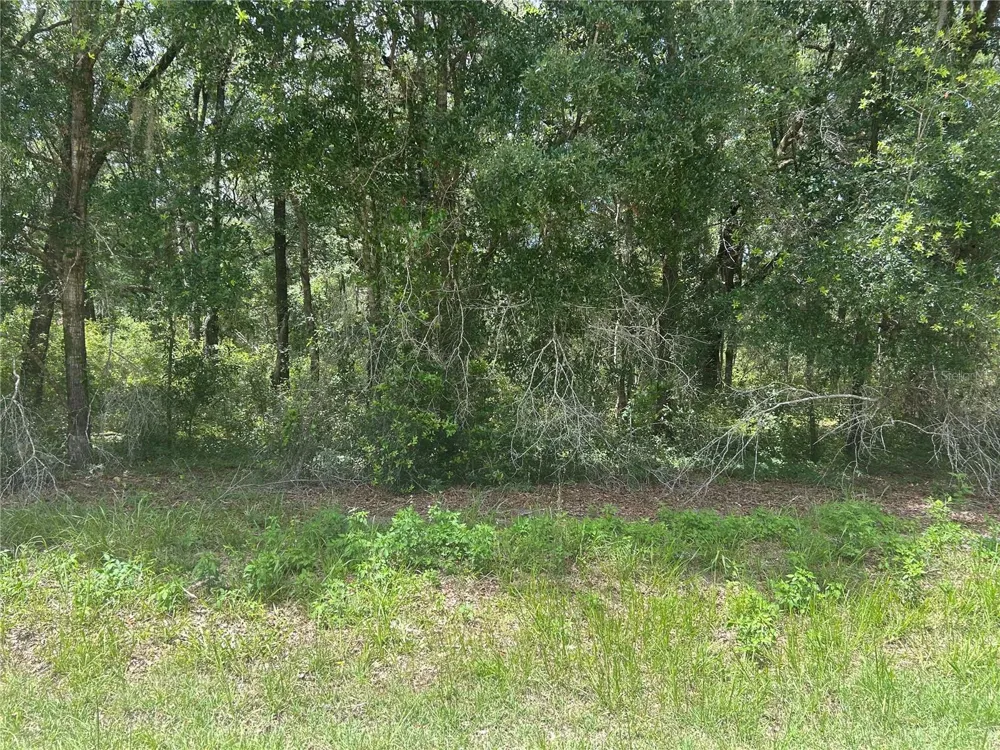 SW 111 LANE Dunnellon, FL 34432