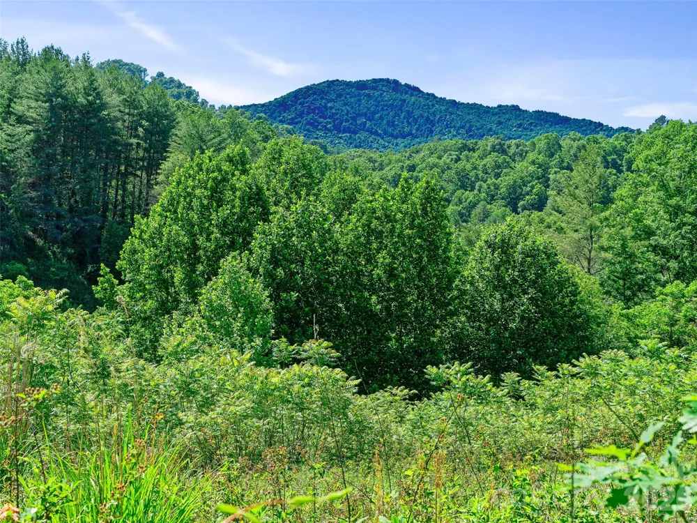 999 US HWY 19W Highway Burnsville, NC 28714