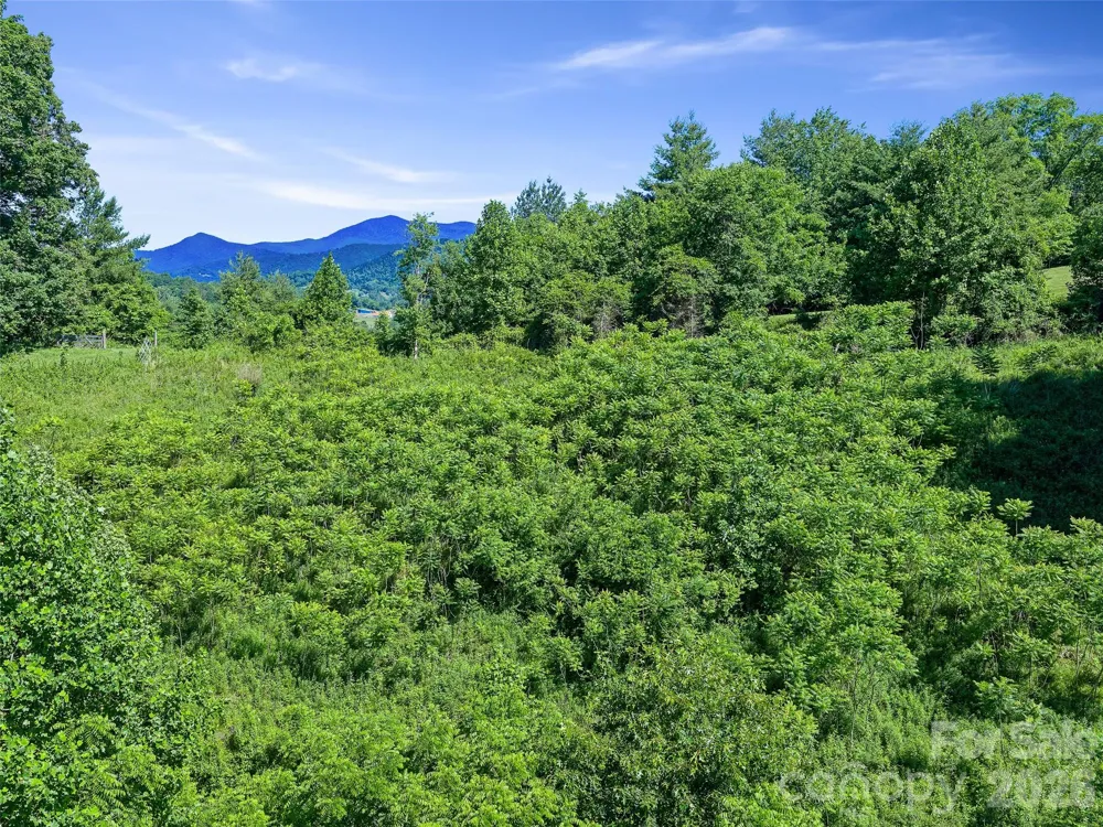 999 US HWY 19W Highway Burnsville, NC 28714