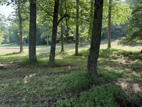 0 Lot 6 Clear Creek Preserve Way