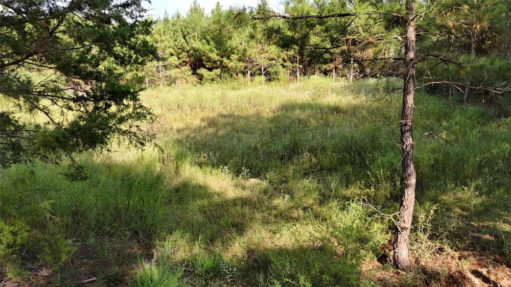 County Road 3121 Long Branch, TX 75669