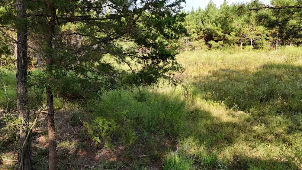 County Road 3121 Long Branch, TX 75669