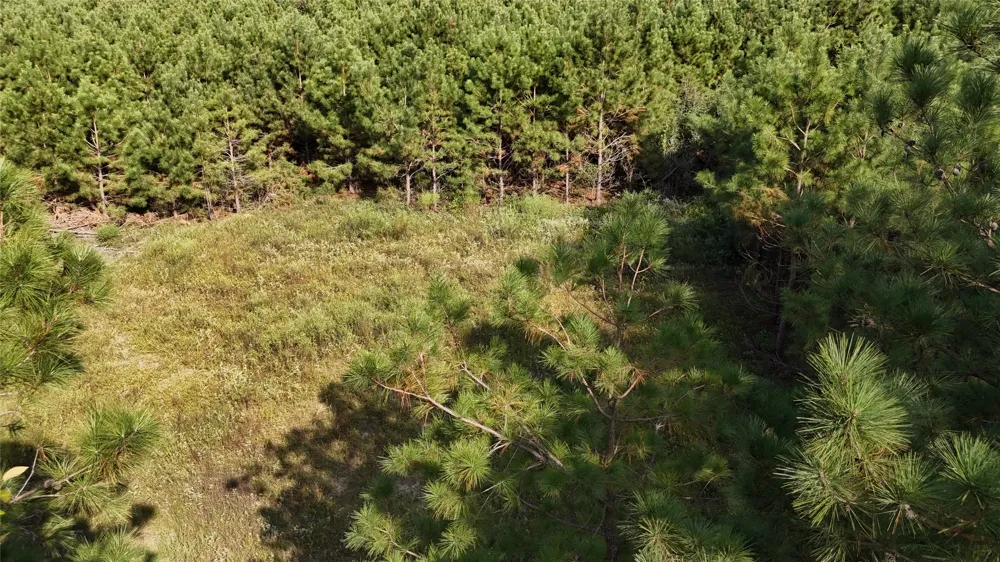 County Road 3121 Long Branch, TX 75669