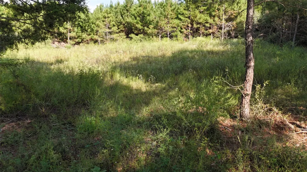 County Road 3121 Long Branch, TX 75669