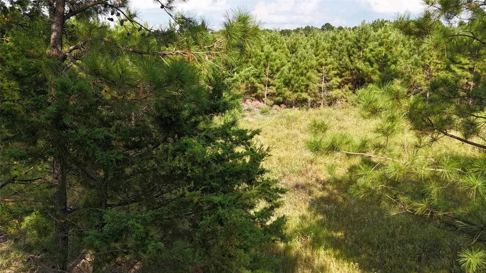 County Road 3121 Long Branch, TX 75669