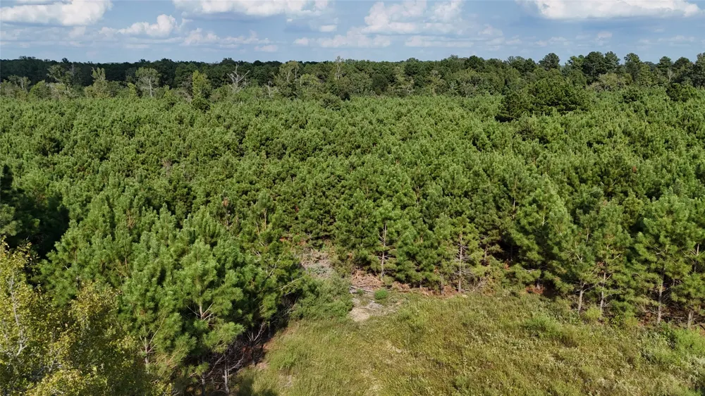 County Road 3121 Long Branch, TX 75669