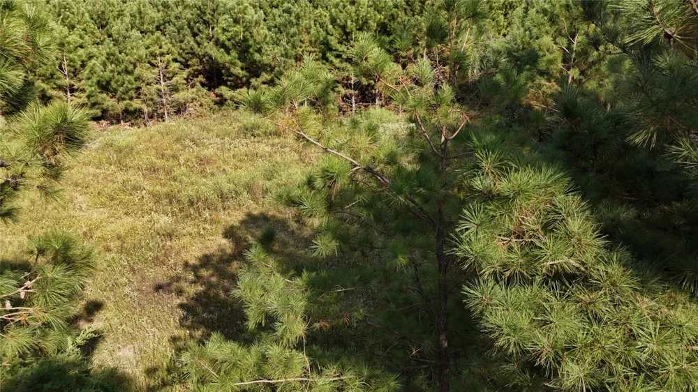 County Road 3121 Long Branch, TX 75669