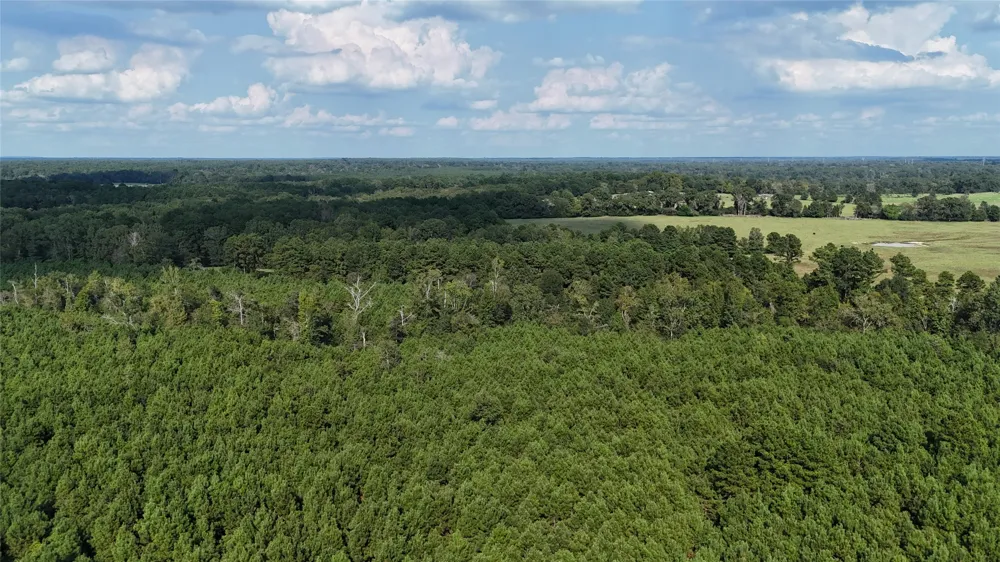 County Road 3121 Long Branch, TX 75669