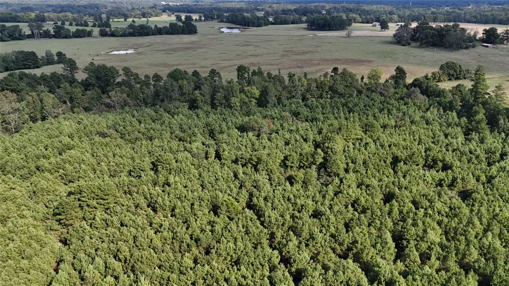 County Road 3121 Long Branch, TX 75669