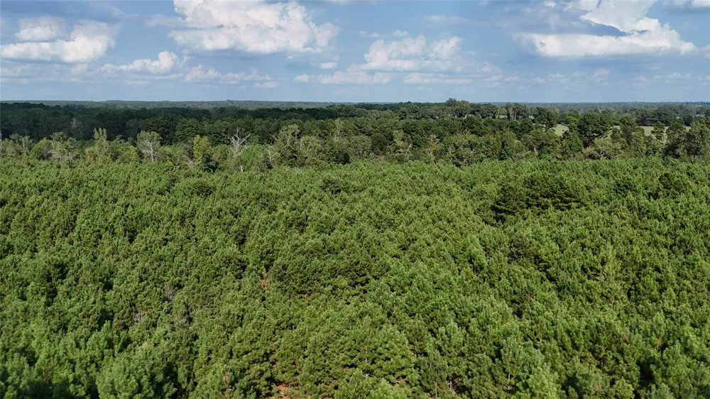 County Road 3121 Long Branch, TX 75669